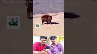 Tamil funny video #funny #tamil #comedy #jaffnavlog