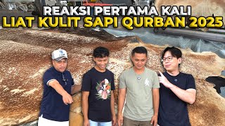 Download Lagu AJAK MAS HERMAWAN JEMPUT KULIT 13 SAPI QURBAN 2025..! MP3 Download Lagu AJAK MAS HERMAWAN JEMPUT KULIT 13 SAPI QURBAN 2025..! MP3