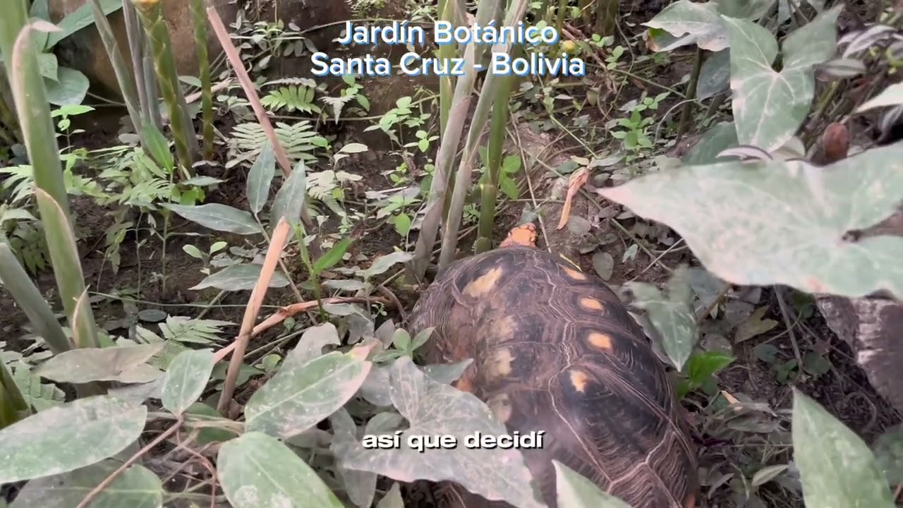 Jardín Botánico - Santa Cruz Bolivia