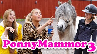 PONNYMAMMOR 3 | Ft. Melissa Fröhlich & Johanna Lassnack