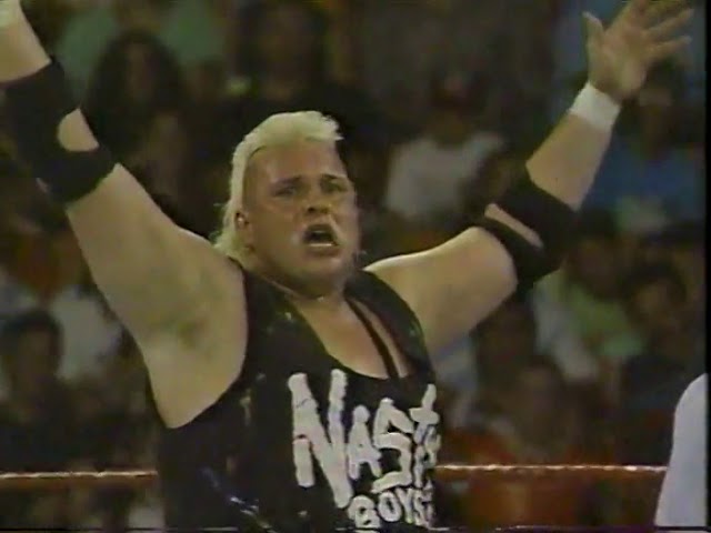 WWF Summerslam Spectacular 1991