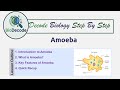 Amoeba Explained | Structure, Features & Functions | Class 9/10 NCERT Biology Hinglish
