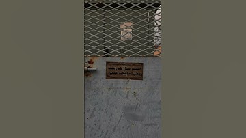 سورة الأحزاب - القارئ: شايع التميمي 🩷.