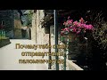 Почему тебе стоит отправиться в паломничество