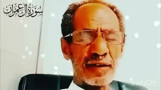 Surah Al imran |  beautiful  Quran recitation |Sheikh  mohammad faqih #quran #video #viral