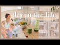 DAY IN THE LIFE | getting back in the swing of things, hauls, & trying healthy new recipes!