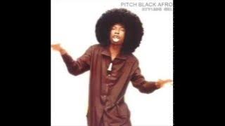 Pitch Black Afro - A Day In The Life - feat. Selwyn