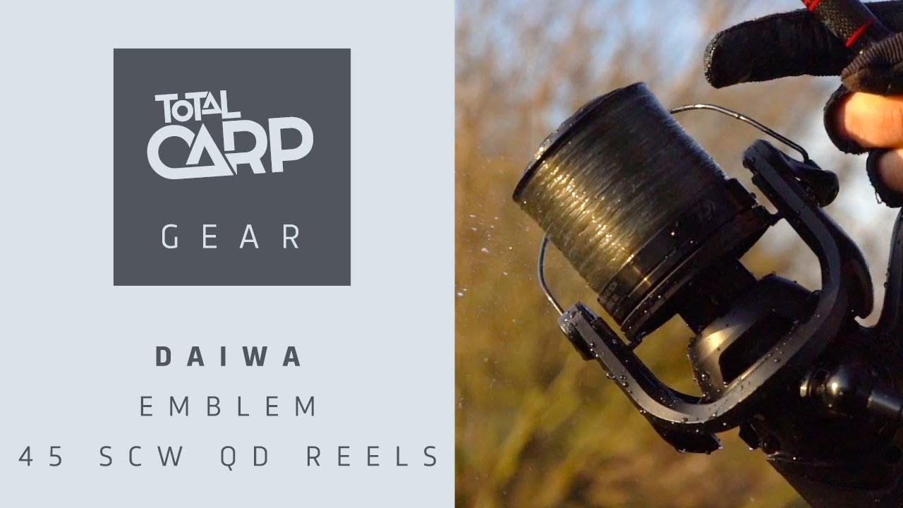 daiwa emblem 45 scw qd reel