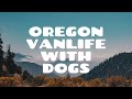 Oregon Vanlife Showcase With Dogs