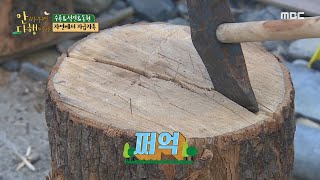 [안싸우면 다행이야] 자연 마스터(?) 김동현의 장작패기 실력은?! 