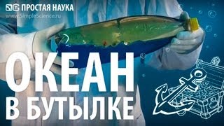 ОКЕАН В БУТЫЛКЕ - опыт с водой и маслом