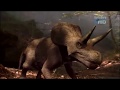 When Dinosaurs Roamed America - Zuniceratops christopheri