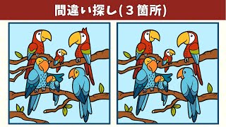 картинка: Найдите 3 отличия | Иллюстрация Версия #485