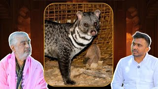 Wild Civet Cat Paste With Sandalwood Used For Idol-Dr Ramana Dikshitulu Insights With Laxman Clips