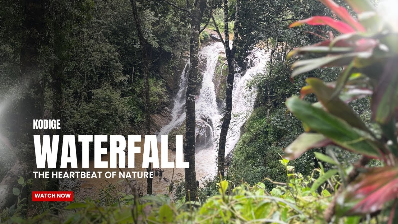 Kodige Falls: The Serene Cascade || Western Ghats|| Monsoon diaries || 