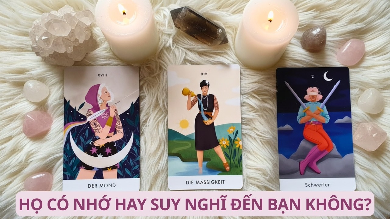 💕TAROT | HỌ CÓ NHỚ HAY SUY NGHĨ ĐẾN BẠN KHÔNG?
