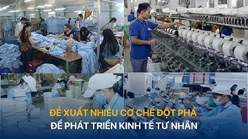 Đề xuất nhiều cơ chế nhằm phát triển kinh tế tư nhân | VTVIndex