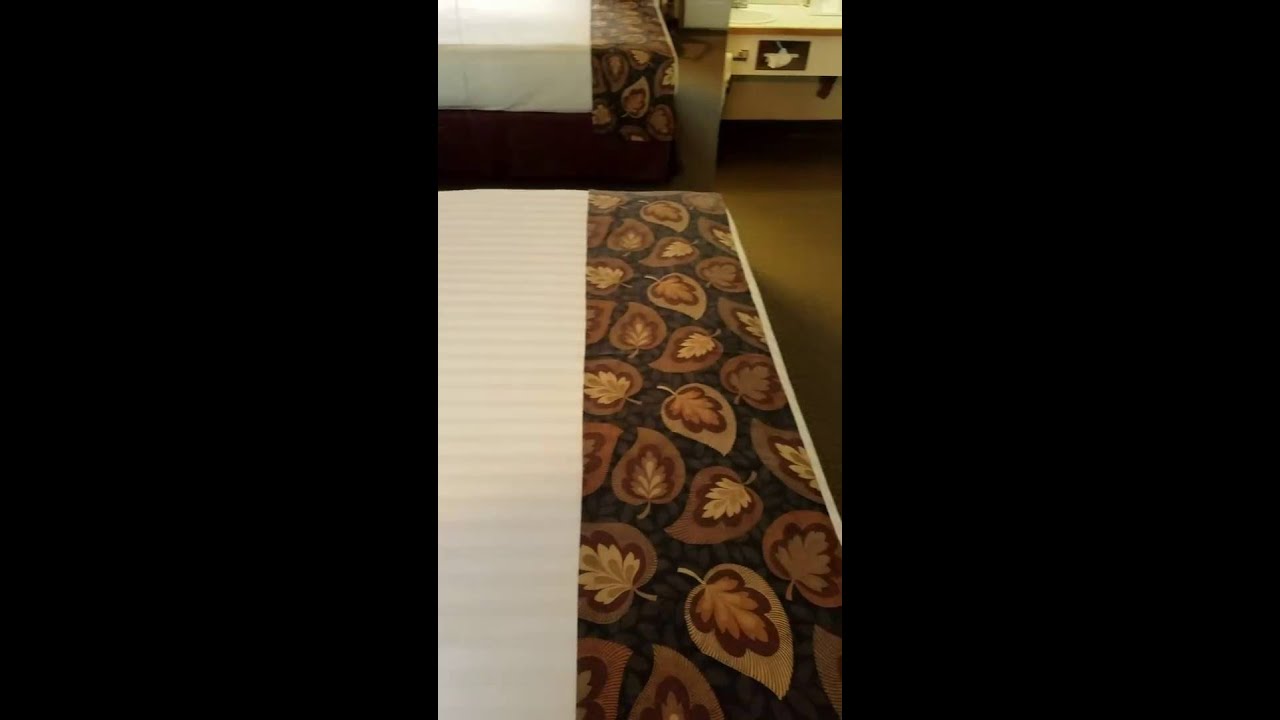 Raintree Inn, Ada Oklahoma, standard room with a King size bed.