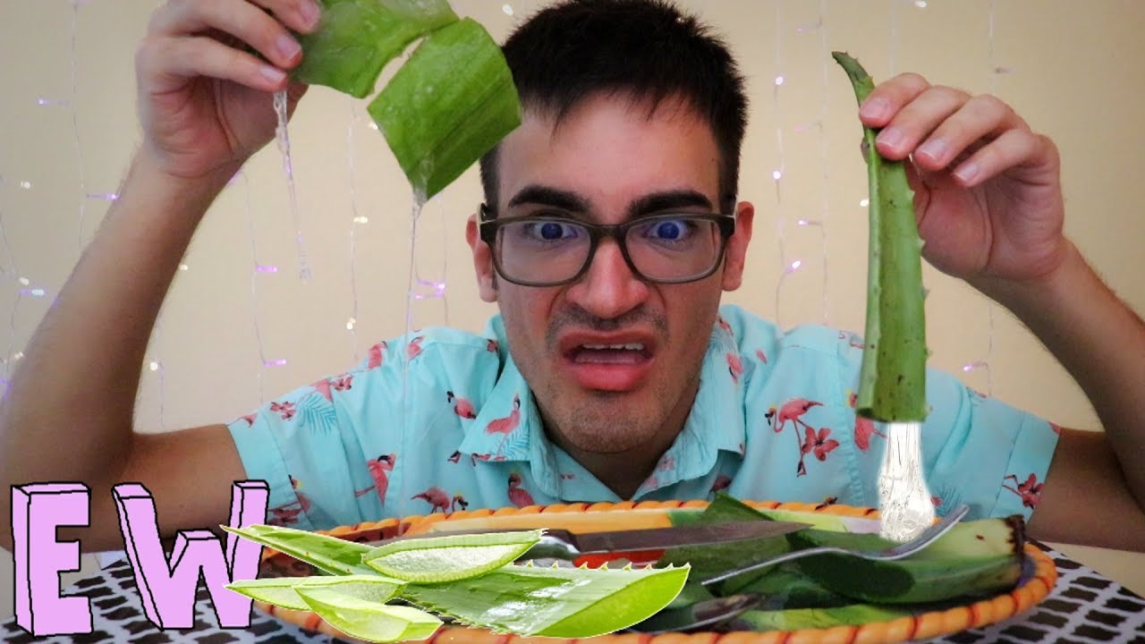 Aloe Vera Plant Eating Mukbang & Aloe Vera Drink (ASMR Aloe Vera Plant Eating Mukbang & Aloe Vera Drink (ASMR