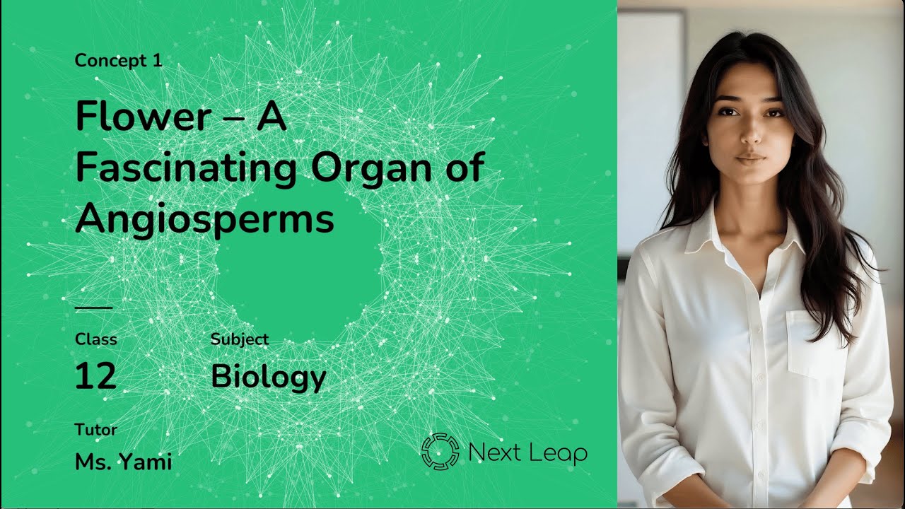 Flower: A Fascinating Organ of Angiosperms | Class 12 Biology |