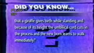 TRLO: ZNBC in 2000 ✋😂😂😂 screenshot 5