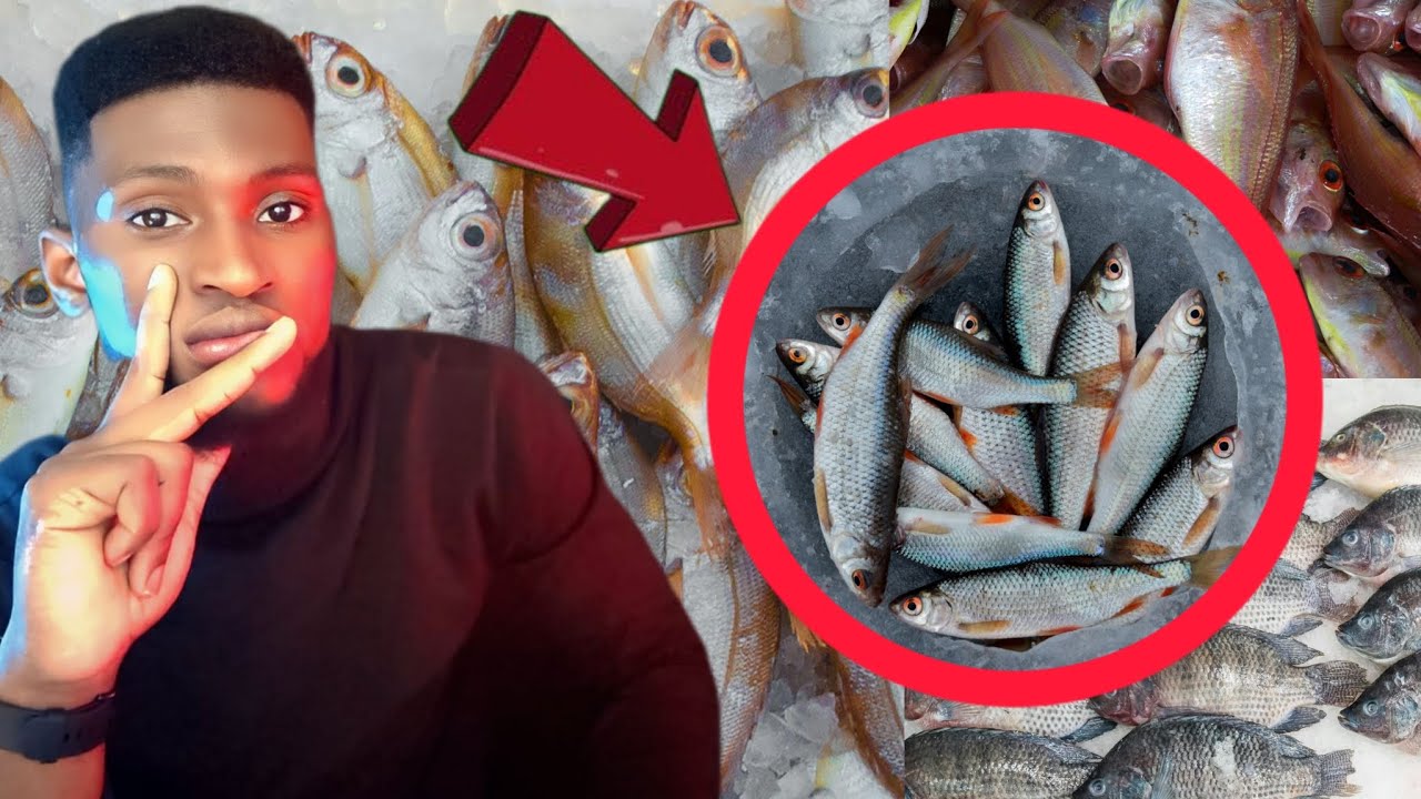 Lèw reve pwason me kisa li reyèlman vledi 💯👌 me tout sinifikasyon li genyen joseph Enel55 🐰🥰