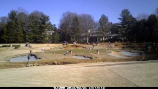 Time Lapse 2 green sod