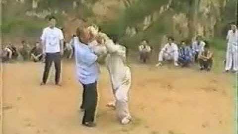 Wang Qingsheng 王庆升   Zhaobao style 赵堡太极拳