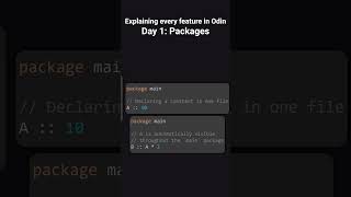 Every Odin Feature: Day 1: Packages. #programming #odinlang #lowlevel