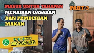 MASUK🟠PENAMBAHAN DASARAN DAN PEMBERIAN MAKAN😆