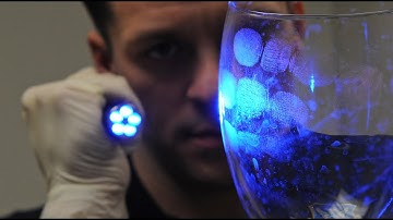 Experiment Mondays: Fingerprints (Part 2)