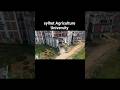 Sylhet agriculture University #sylhet #argicultural #university #bangladesh #sau #shorts #short