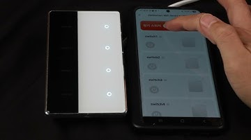 Zemismart Matter WIFi US DIY name tag switch app control