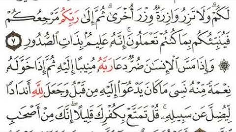 سورة الزمر لشيخ يوسف العيدروس