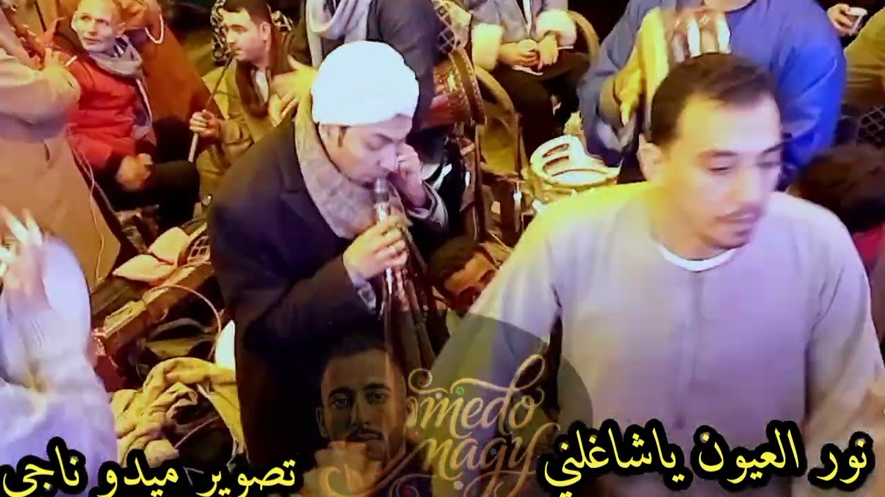 الشيخ محمد حماده حفله السيده زينب (نور العيون ياشاغلني) تصوير م/ميدو ناجي