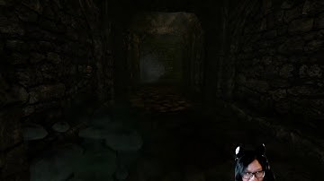 Amnesia: The Dark Descent - Me screaming and running away from the monster
