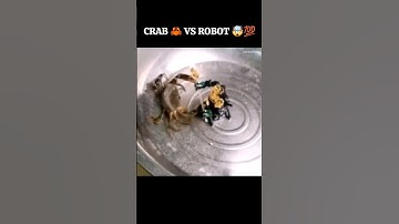Crab vs Robot 🤯💯 #shorts #animals #amazing