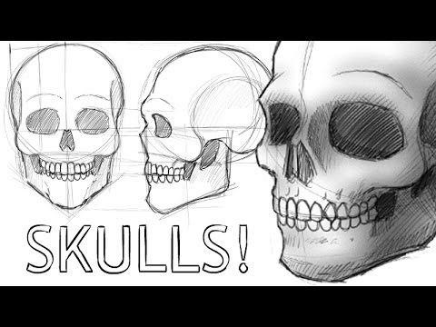 Video: How To Learn To Draw A Skull