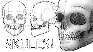 ⁣How to Draw Skulls