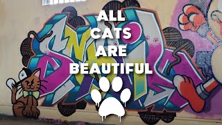 All Cats Are Beautiful Graffiti Wall