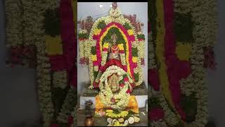 🪷Mariamman Powerful Darshan 🌸#shorts #tamildevotional