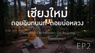 เชียงใหม่ ดอยอินทนนท์ ขุนวาง สวนป่าดอยบ่อหลวง Chiang Mai Doi Inthanon EP2 Cinematic Travel Vlog