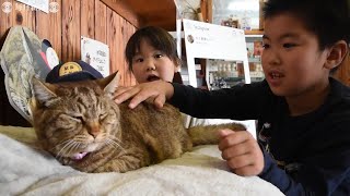 ねこ駅長、就任3年　住民らが記念祝う　JR豊後竹田駅