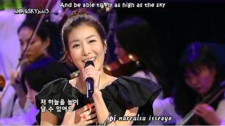 Davichi - A Goose's Dream LIVE [eng sub kara roman]