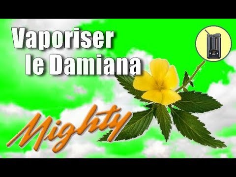 Comment vaporiser LE DAMIANA +TEST vapeur, Vaporisateur Mighty, Crafty, Tuto & Avis Fr