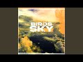 Birds In The Sky (Morgan Seatree Remix)