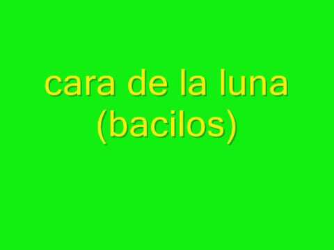 cara de la luna (lyrics)