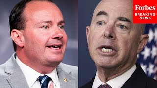 'This Is Making It Worse': Mike Lee Lights Into Alejandro Mayorkas Over The Southern Border