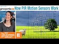 How PIR Motion Sensors Work - The Learning Circuit