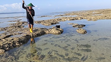 Hari ke 18 di Pulau Terpencil, KUBANGAN AIR DI PENUHI GEROMBOLAN IKAN 😱